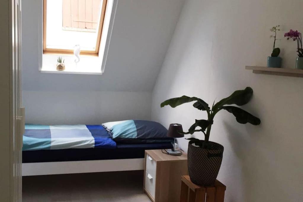 22B Grosse Wohnung Mit Balkon, Smarttv Und Wlan Korb Екстериор снимка